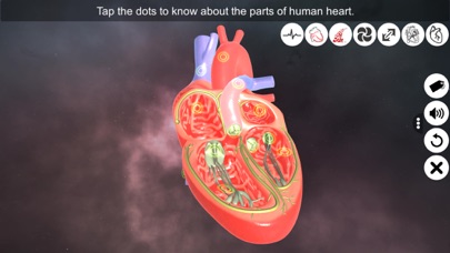 Screenshot #3 pour Heart - An incredible pump