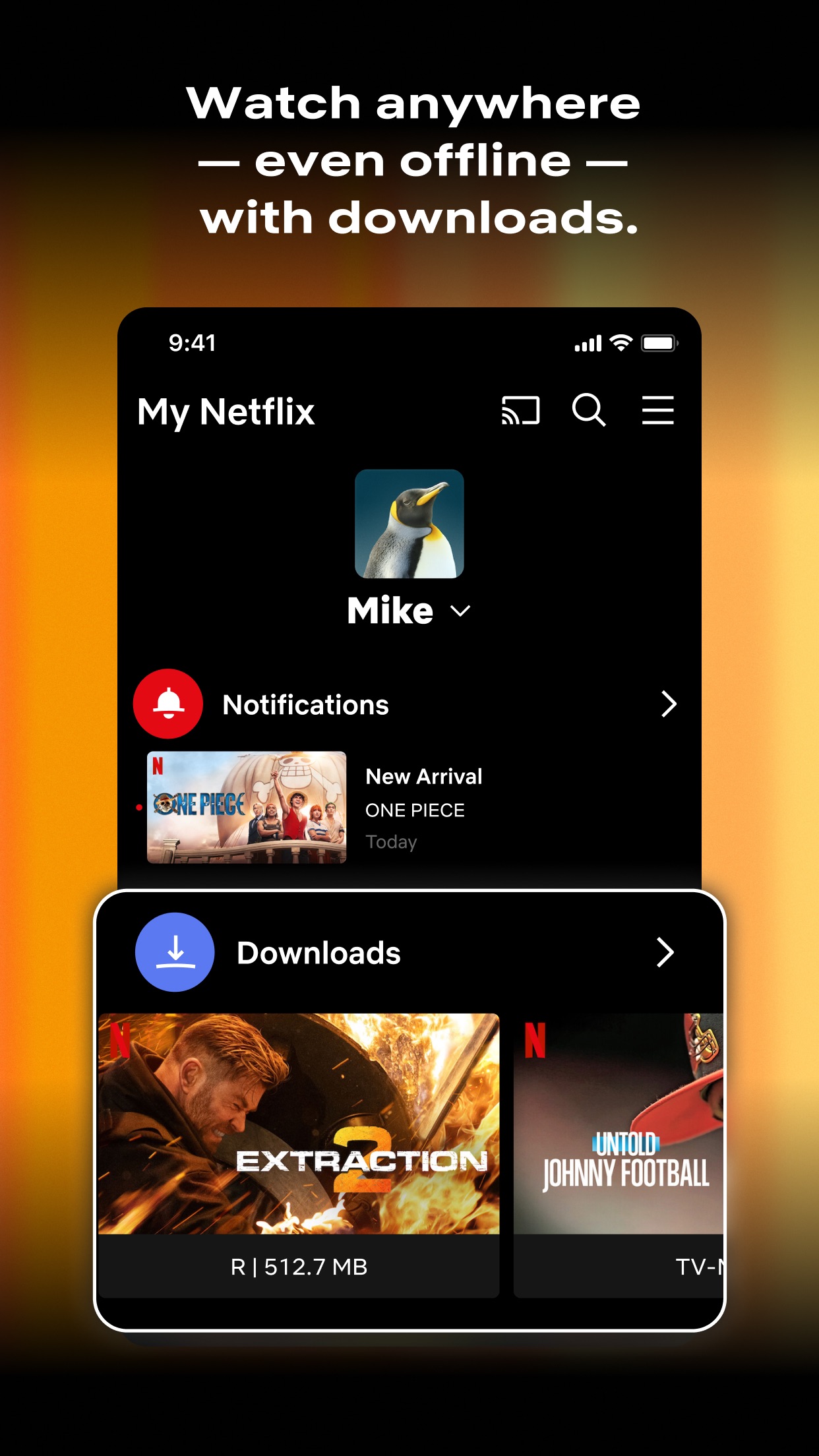 Netflix screenshot 2