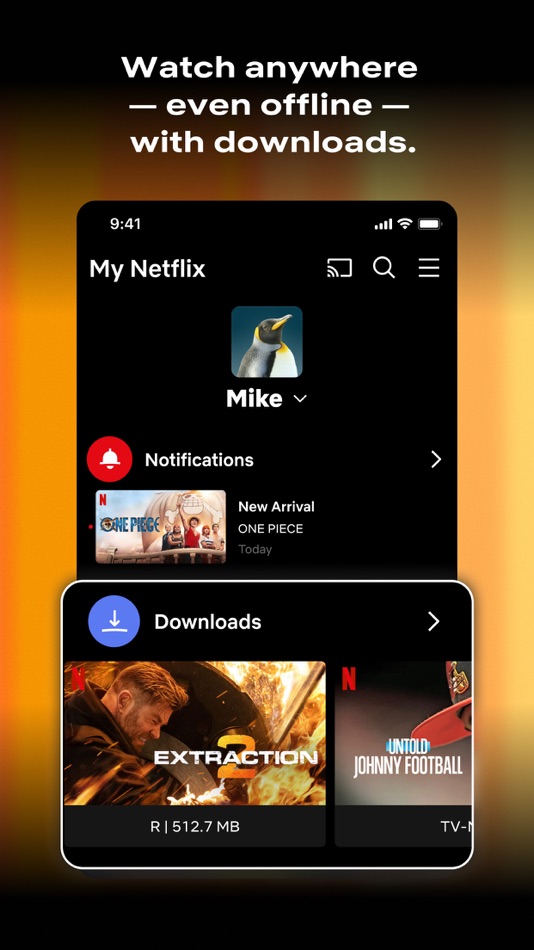 #2. Netflix (iOS) 由: Netflix, Inc.