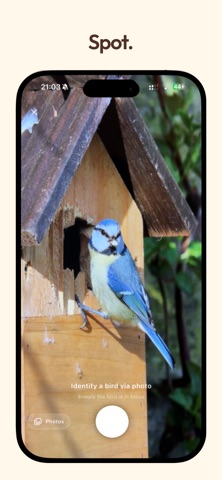 Birder - Bird Identifier Game screenshot
