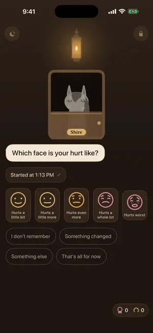 Shire: Headache Diary screenshot 3