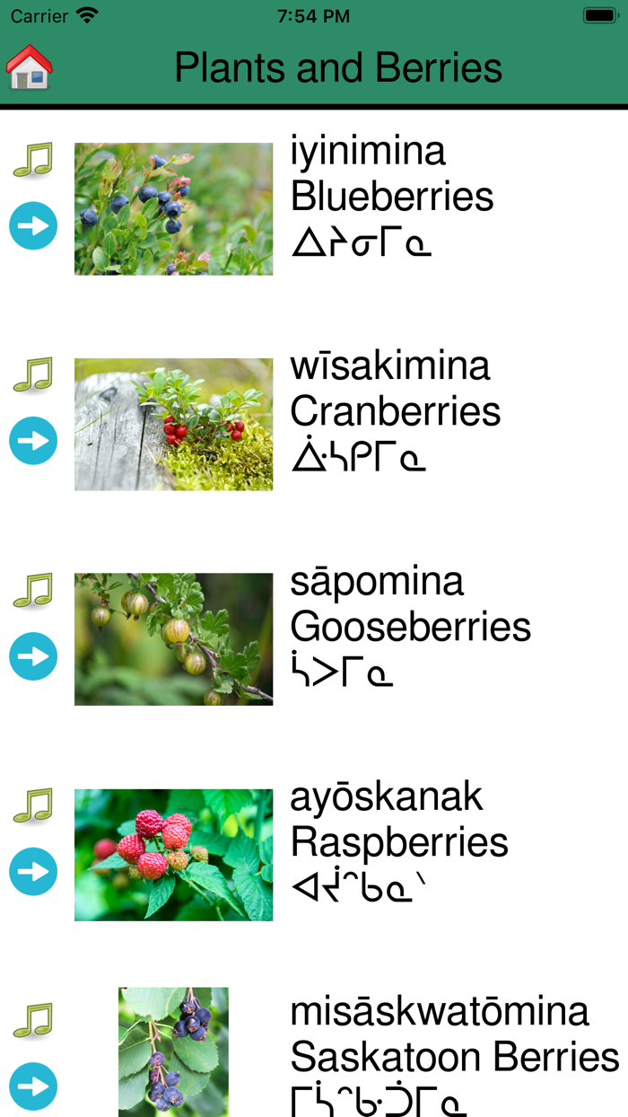 WLFN Cree Language App