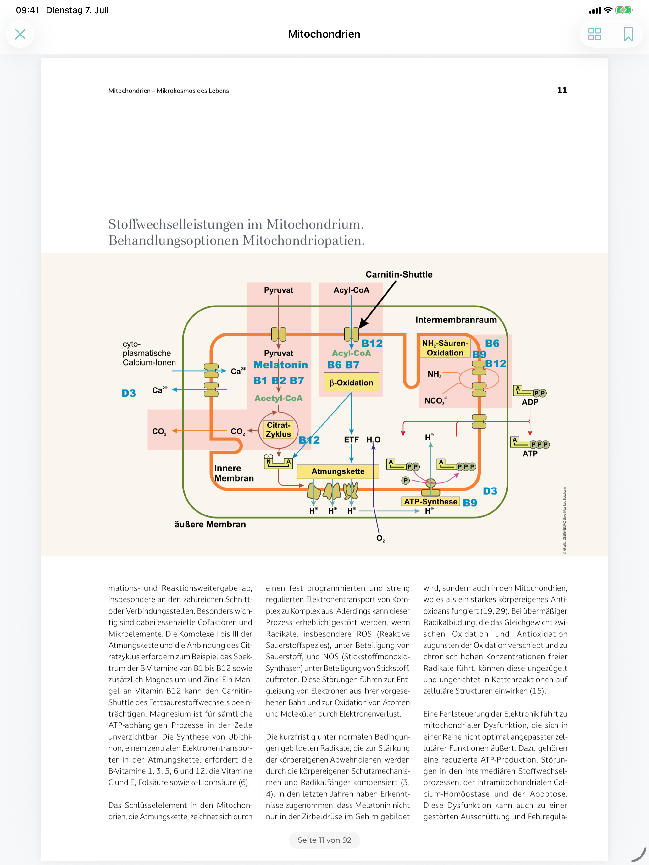 Causamedic screenshot 5
