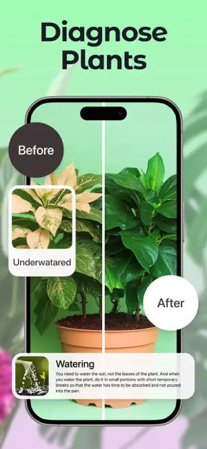 Plant Up: Identifier & Care screenshot 3