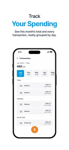 Pocket: Budget & Money Manager iPhone screenshot