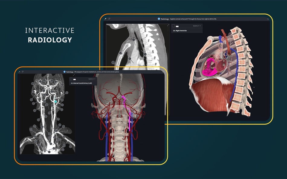 #7. Complete Anatomy (macOS) Door: 3D4Medical from Elsevier
