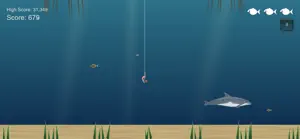 Florida Fish Life screenshot 4