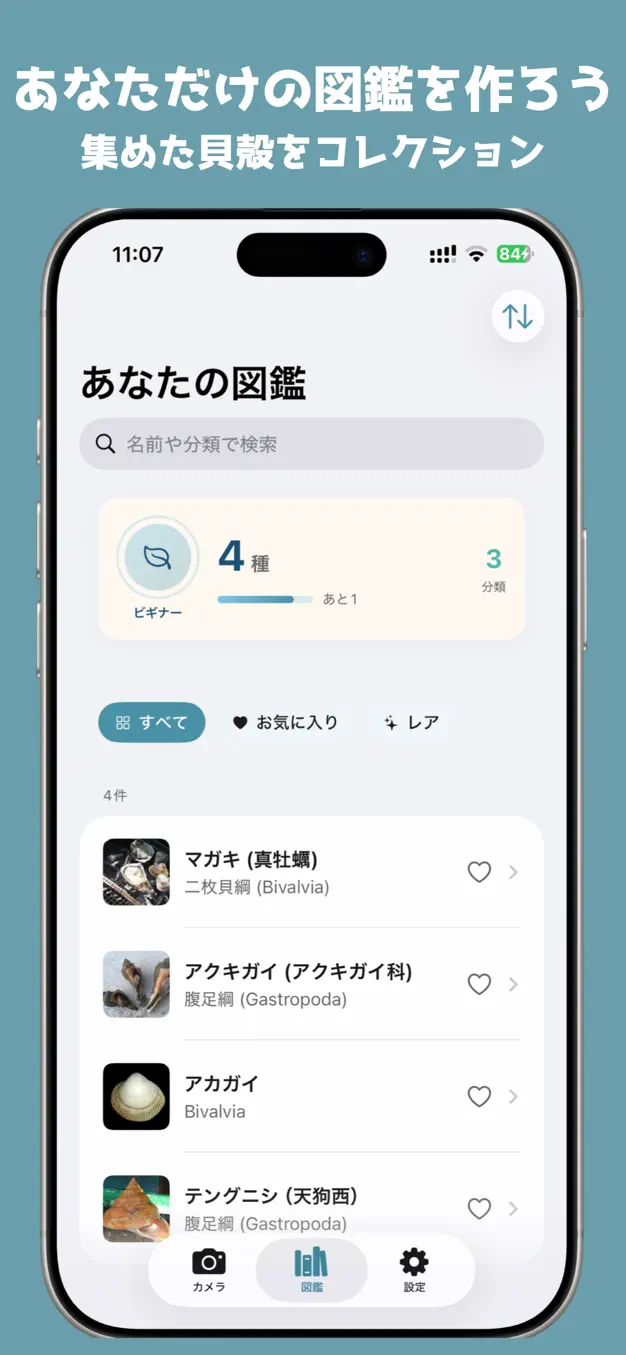 ShellLens - 貝殻AI図鑑 スクリーンショット 2