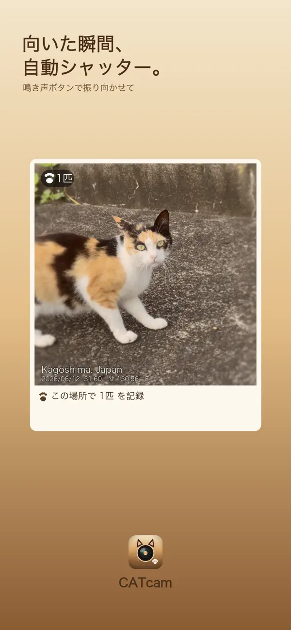 Screenshot #3 pour CATcam 猫マップカメラ