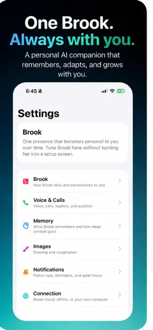 Brook: More Than AI screenshot 1