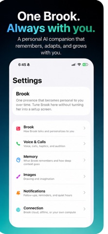 Brook: More Than AI Screenshot 1 of 6