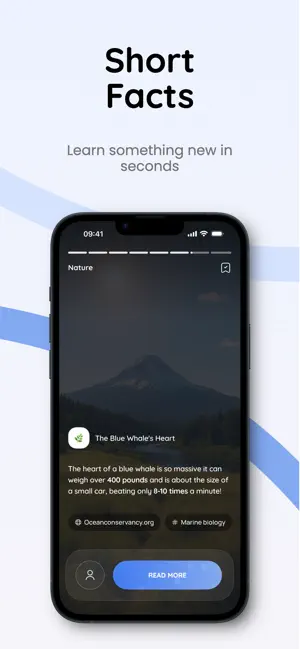 Denwee: Facts & Curiosities screenshot 4