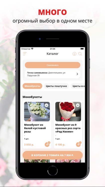 Джентельмен | Сочи