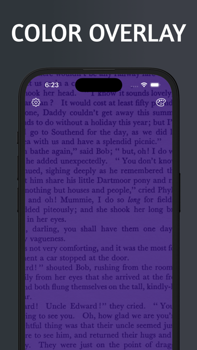 Dyslexia Overlay Screenshot