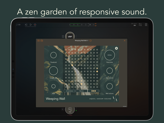 Screenshot #4 pour Weeping Wall