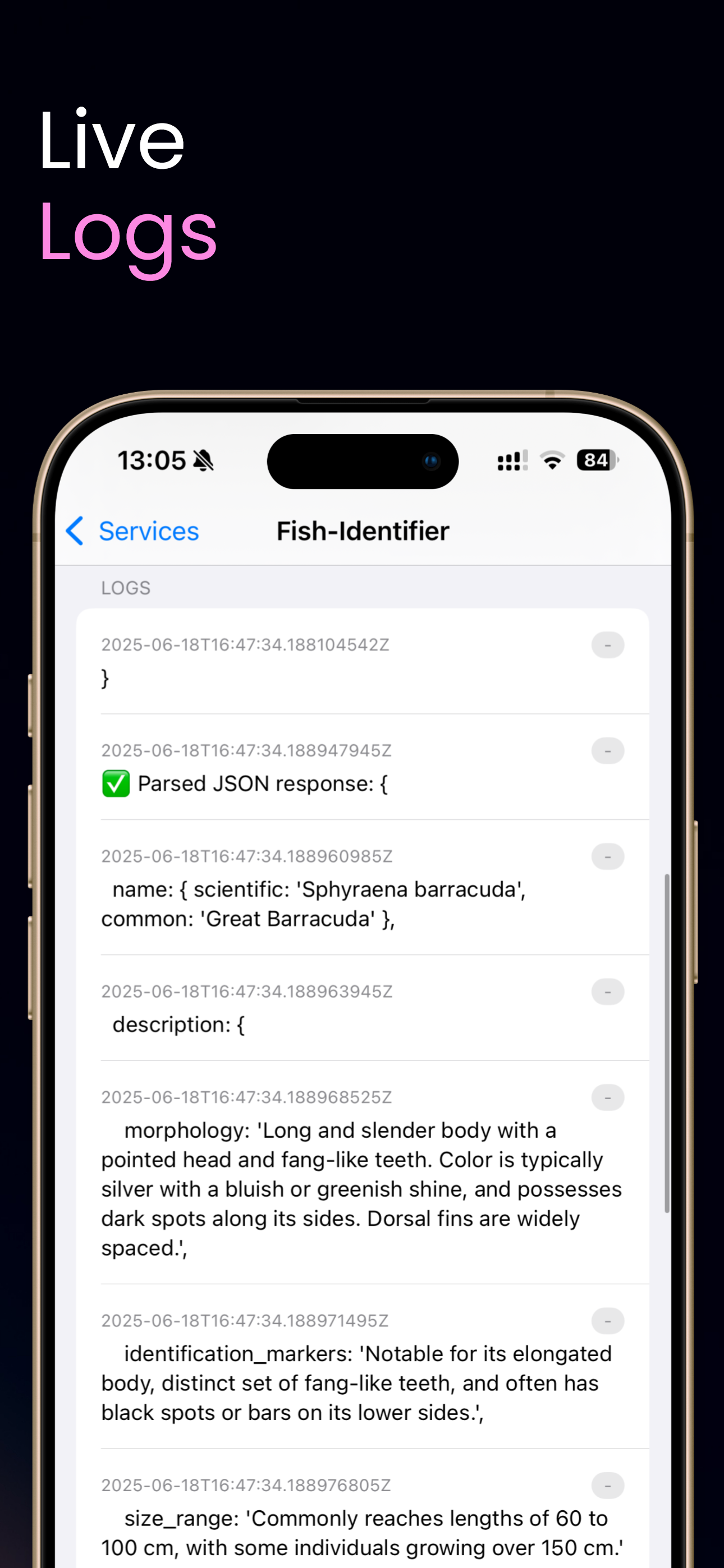RenDeploy - Deployment Center screenshot 3