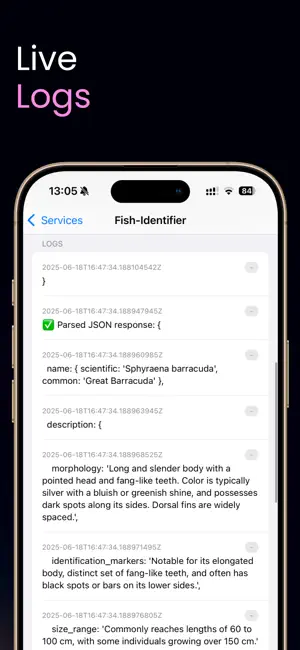 RenDeploy - Deployment Center screenshot 3