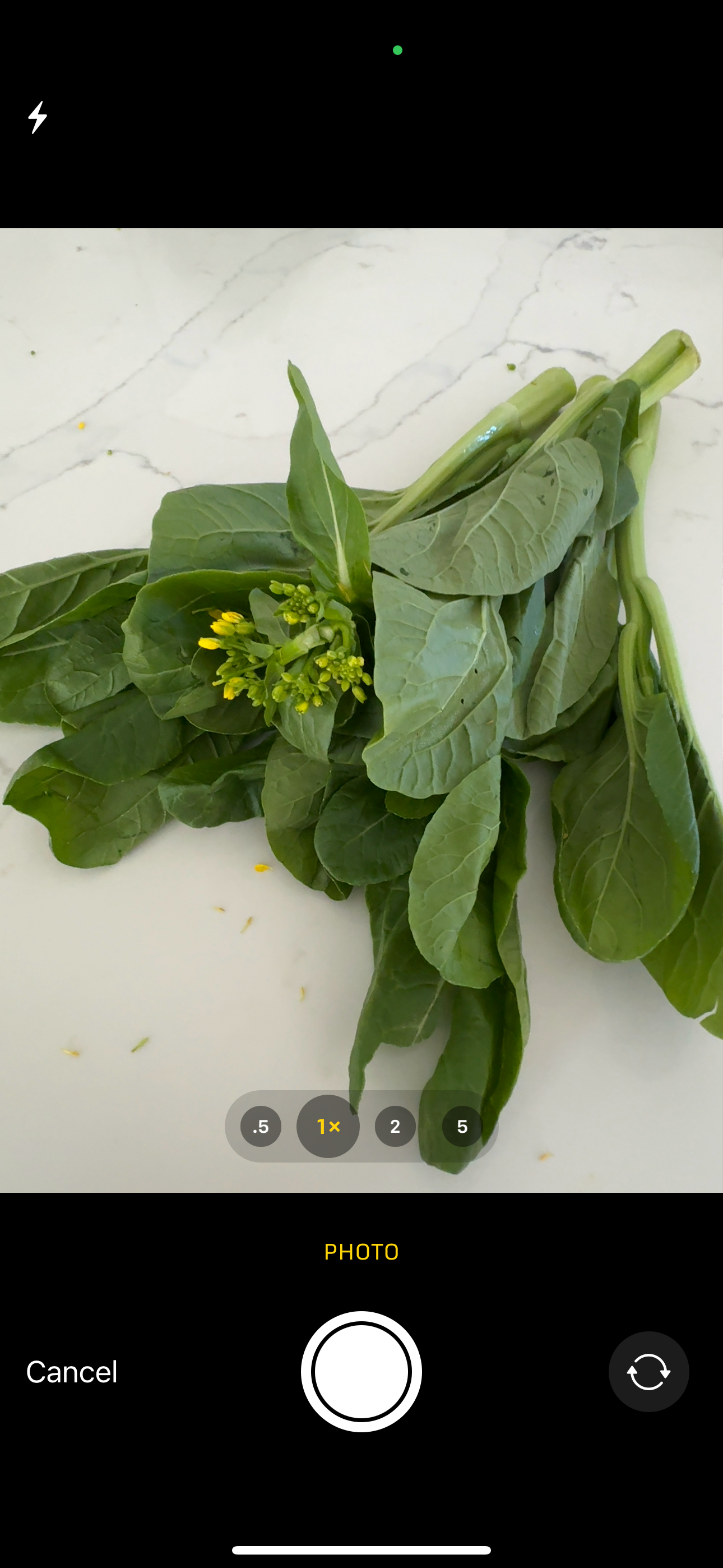 Glean Machine screenshot 4