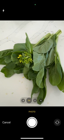 Glean Machine screenshot