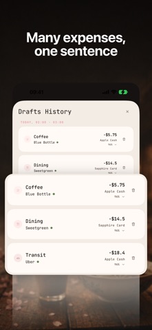 Sakura - Voice Expense Tracker Screenshot 3 of 9