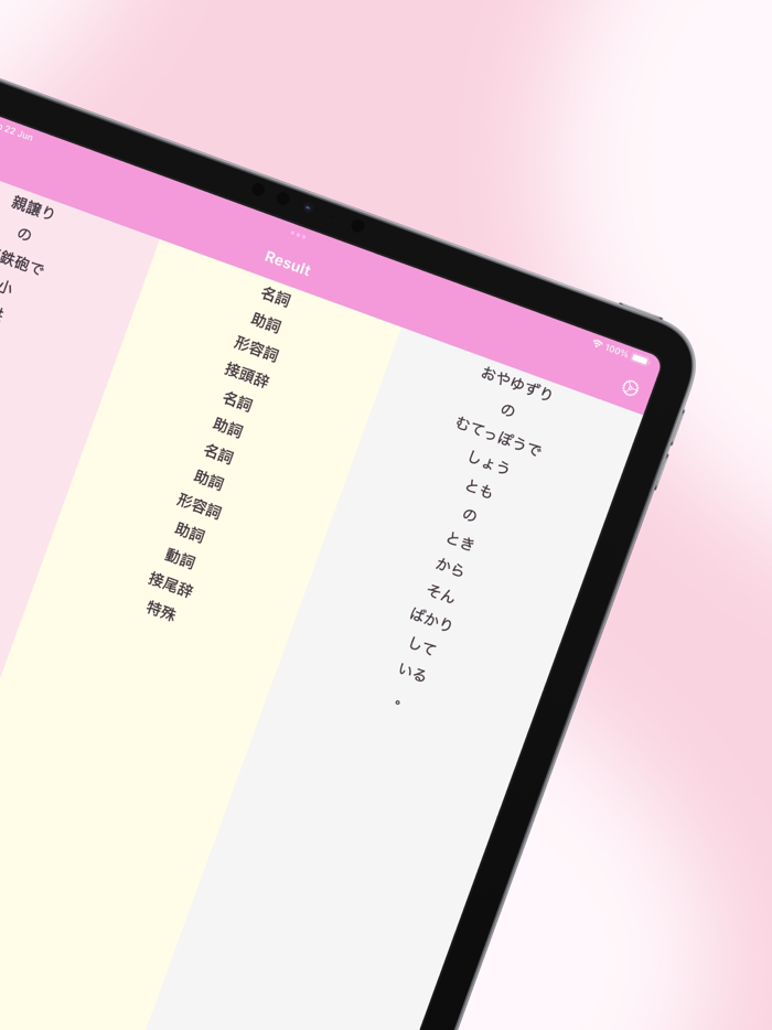 Japanese Part of Speech Camera