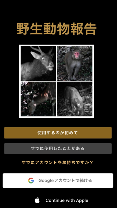 野生動物報告 Screenshot