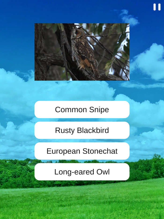 Birds Quiz and Learn
