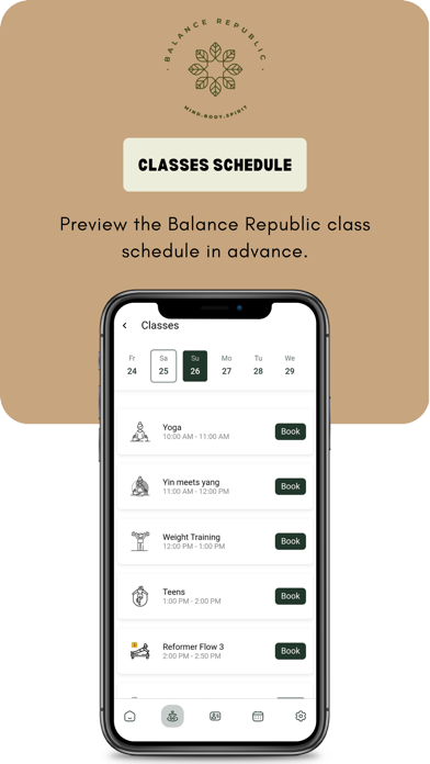 Balance Republic Screenshot