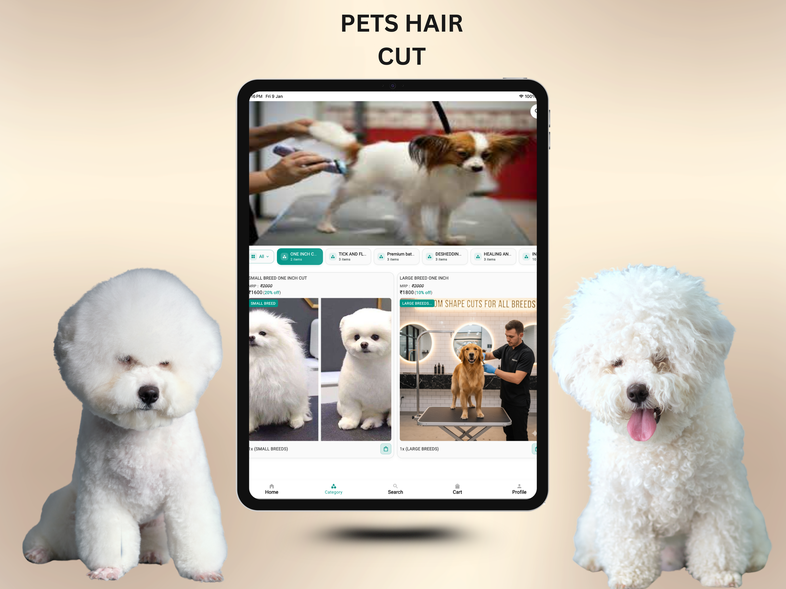 Trendy Paws