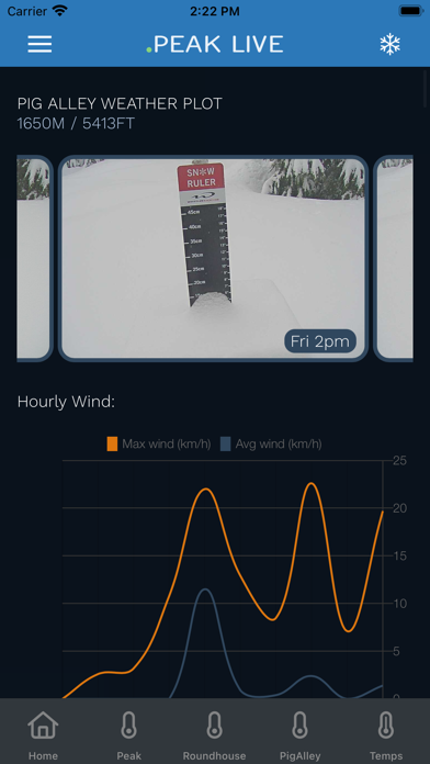 Whistler Peak Live Screenshot