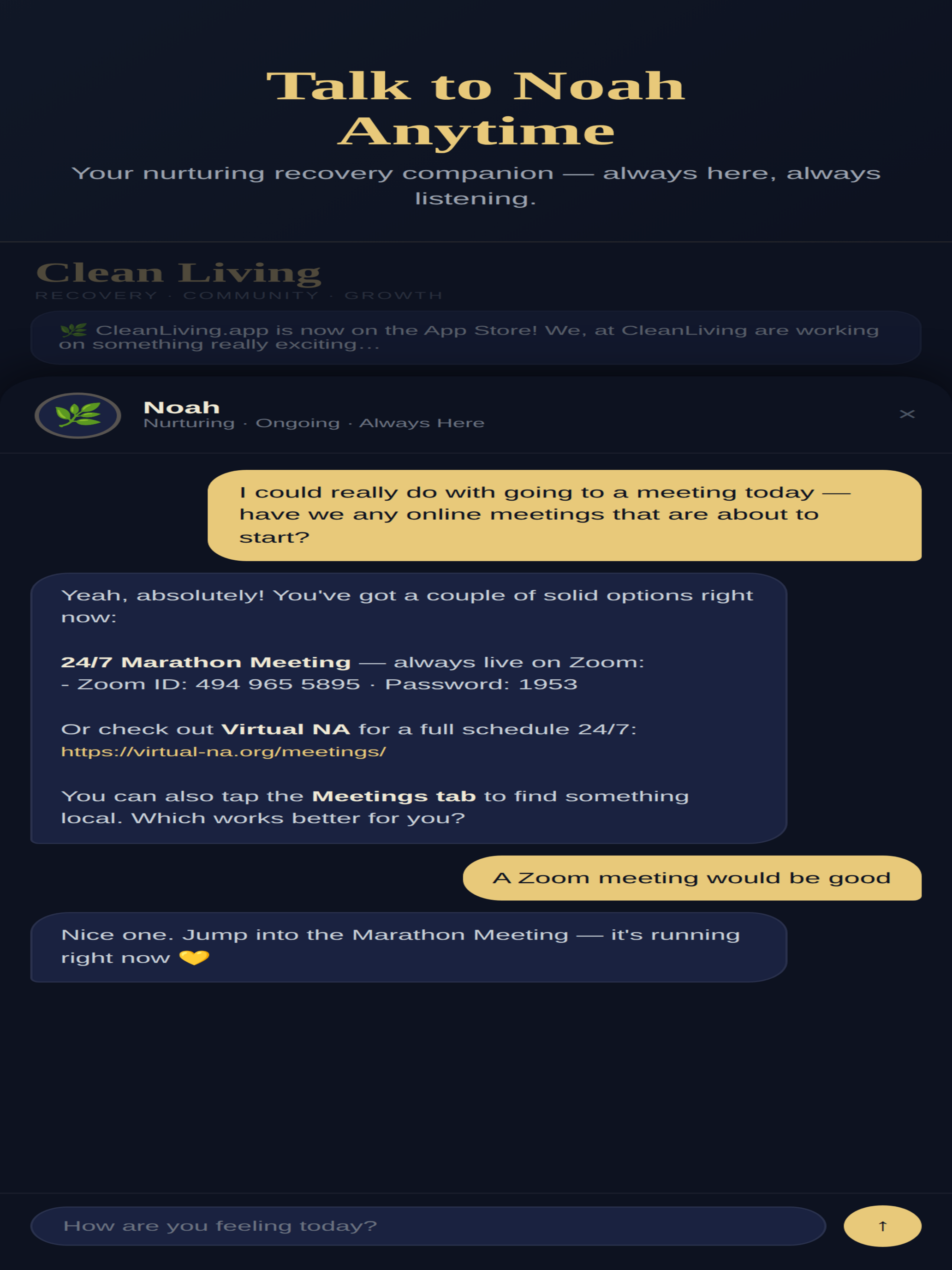 Clean Living – NA Recovery