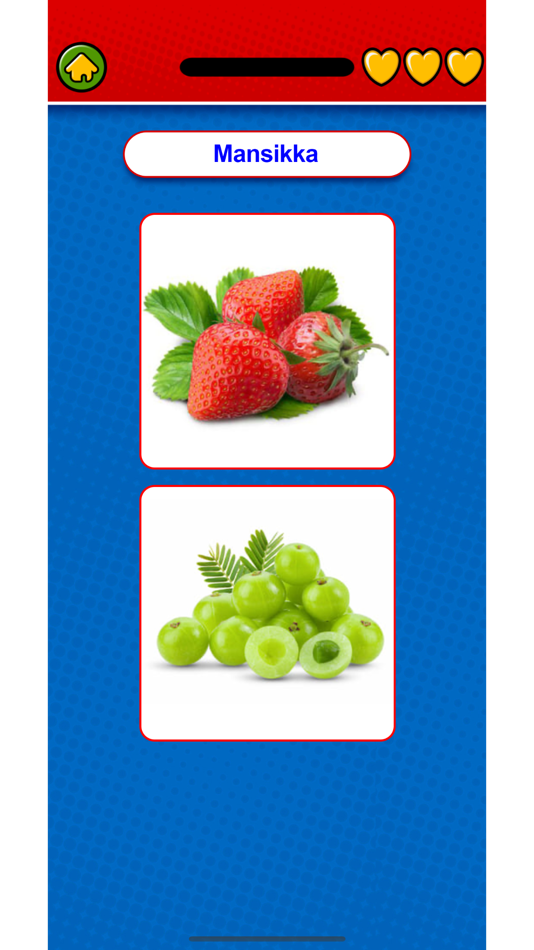 #2. Learn Finnish Flashcards Voca (iOS) By: Duc Tang Van