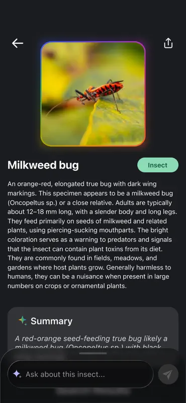 Lens Search: Identify Anything screenshot 8 of 10