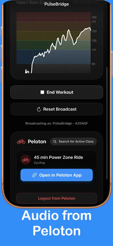 PulseBridge screenshot 3