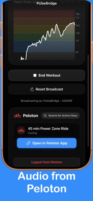 PulseBridge Screenshot 3 of 5