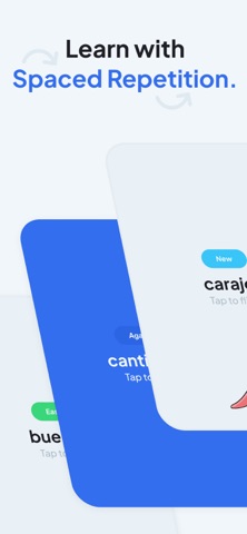 Ludus - Language Flashcards screenshot