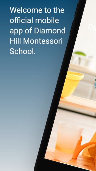 Diamond Hill Montessori School Screenshot