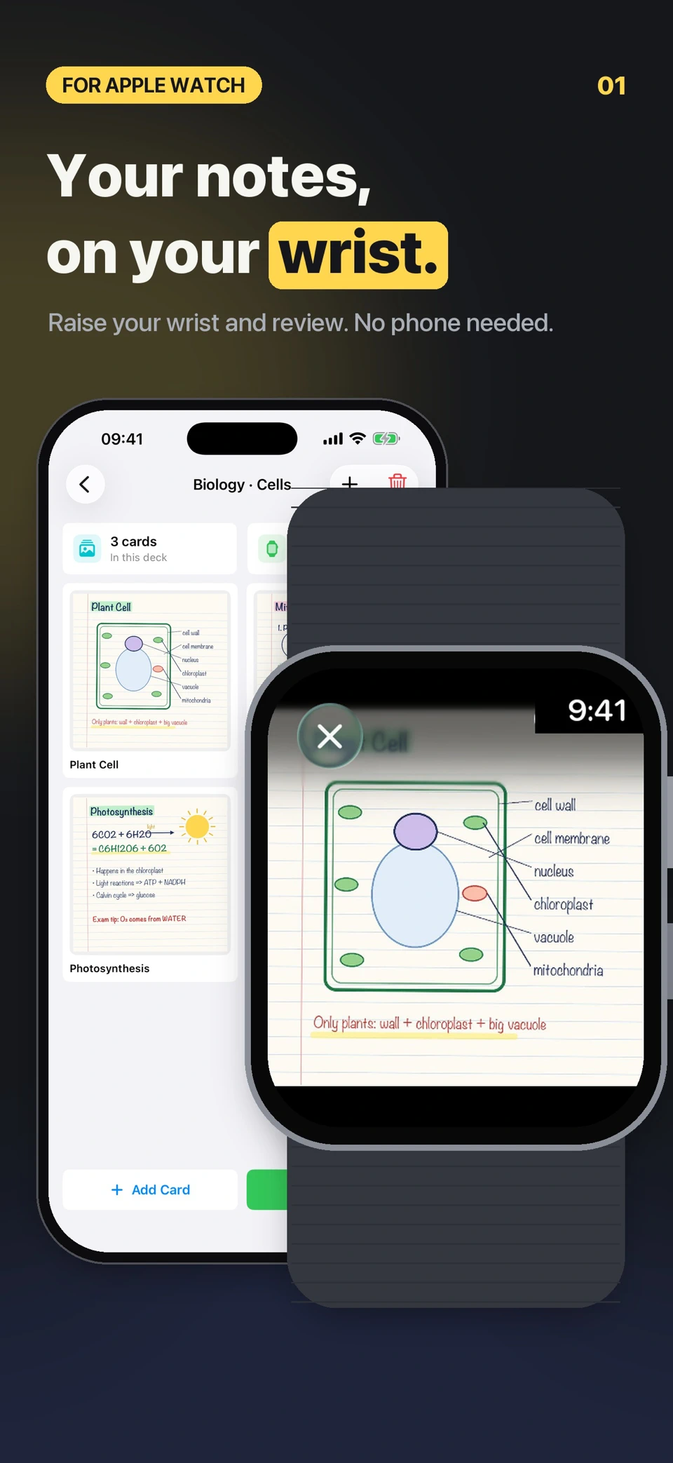 QuickNotes: Watch Flashcards screenshot
