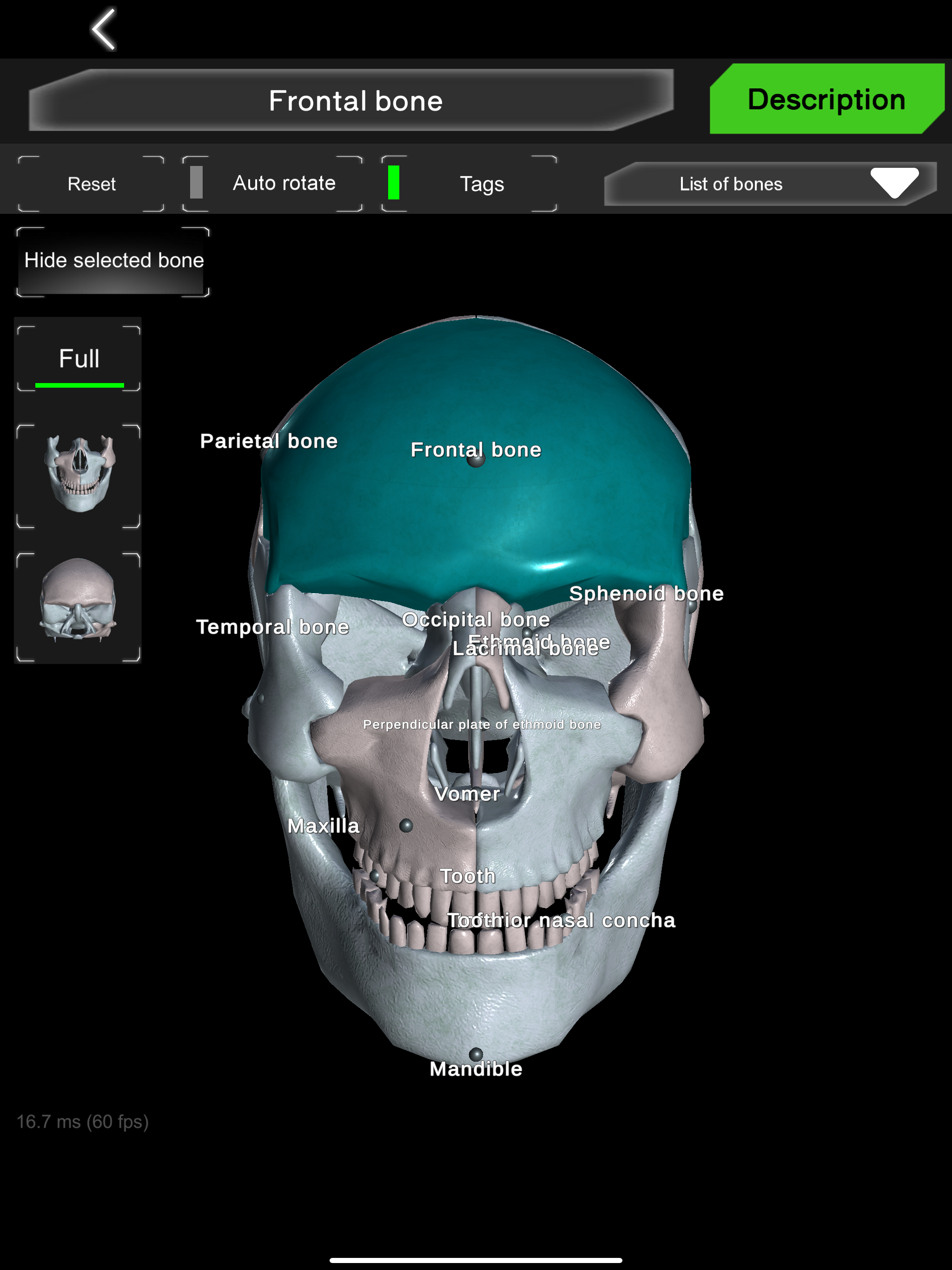 Bones 3D (Anatomy) screenshot 6
