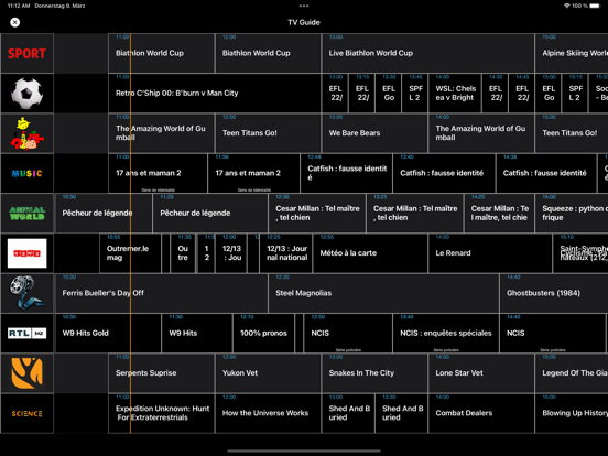 IPTV Streamer Pro iPad app afbeelding 5