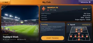 Football Life Sim screenshot 2