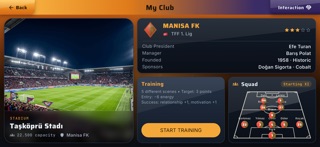 Football Life Sim screenshot 2