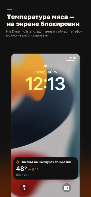 PitMaster: гриль и копчение screenshot 1