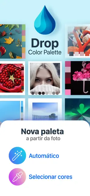Gota Paleta de Cores das Fotos_2