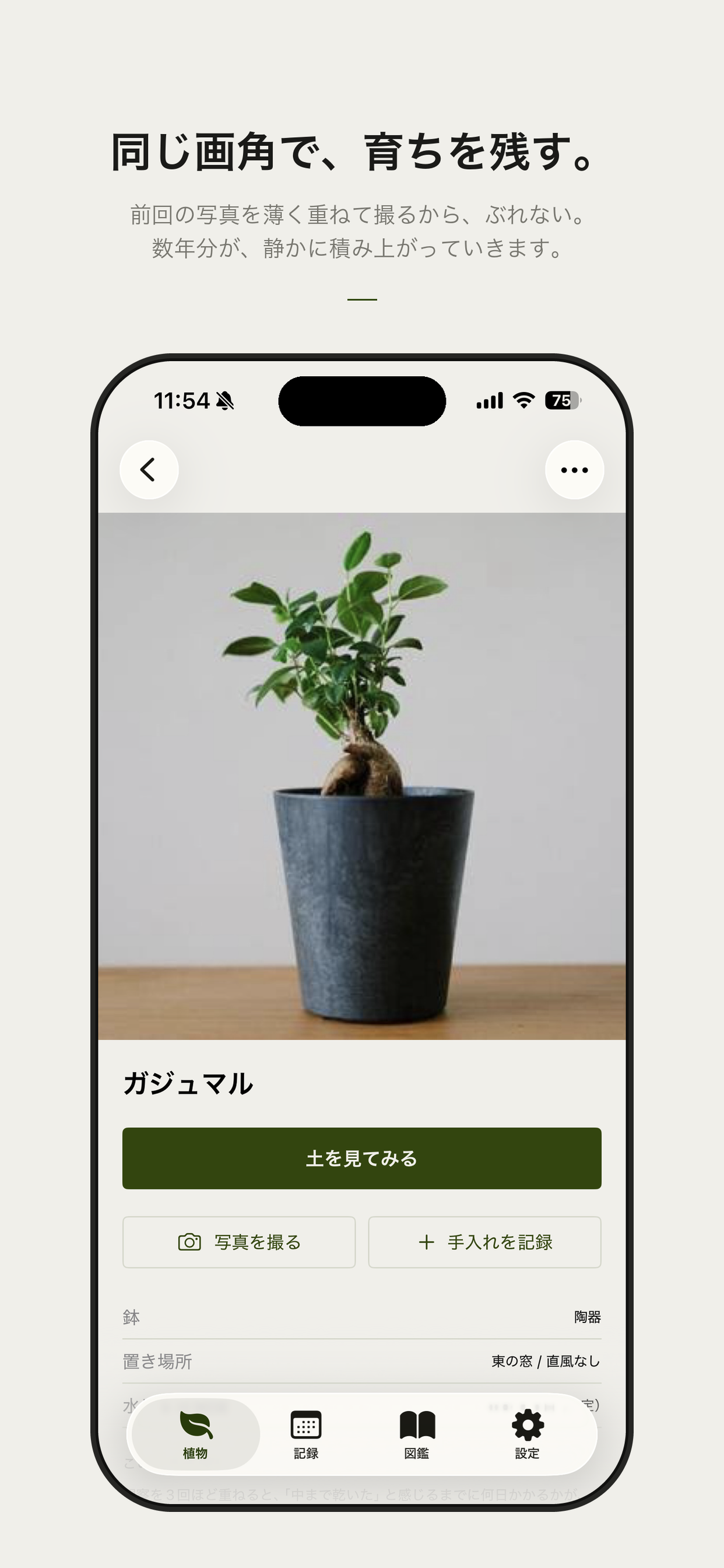 うちの植物 screenshot 4
