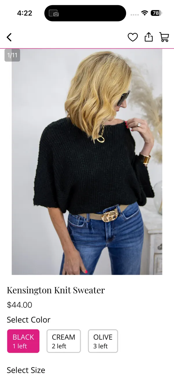 Screenshot #2 pour Hollie's Boutique