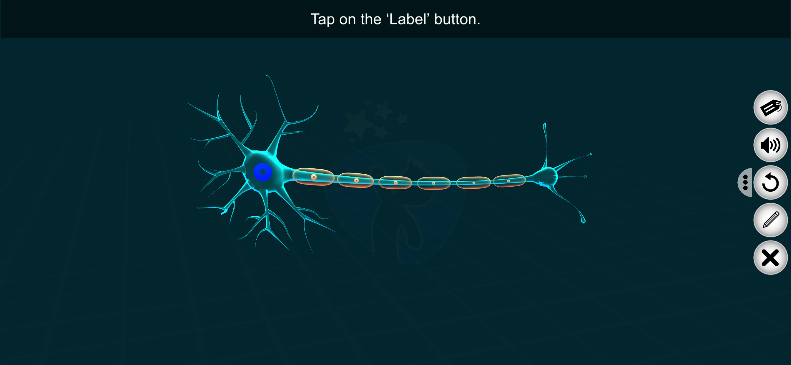 Neuron Study - EduTech Era