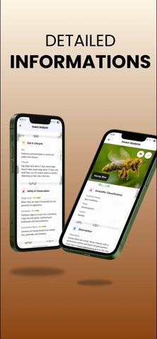 Spider Identifier: Bug ID iPhone screenshot