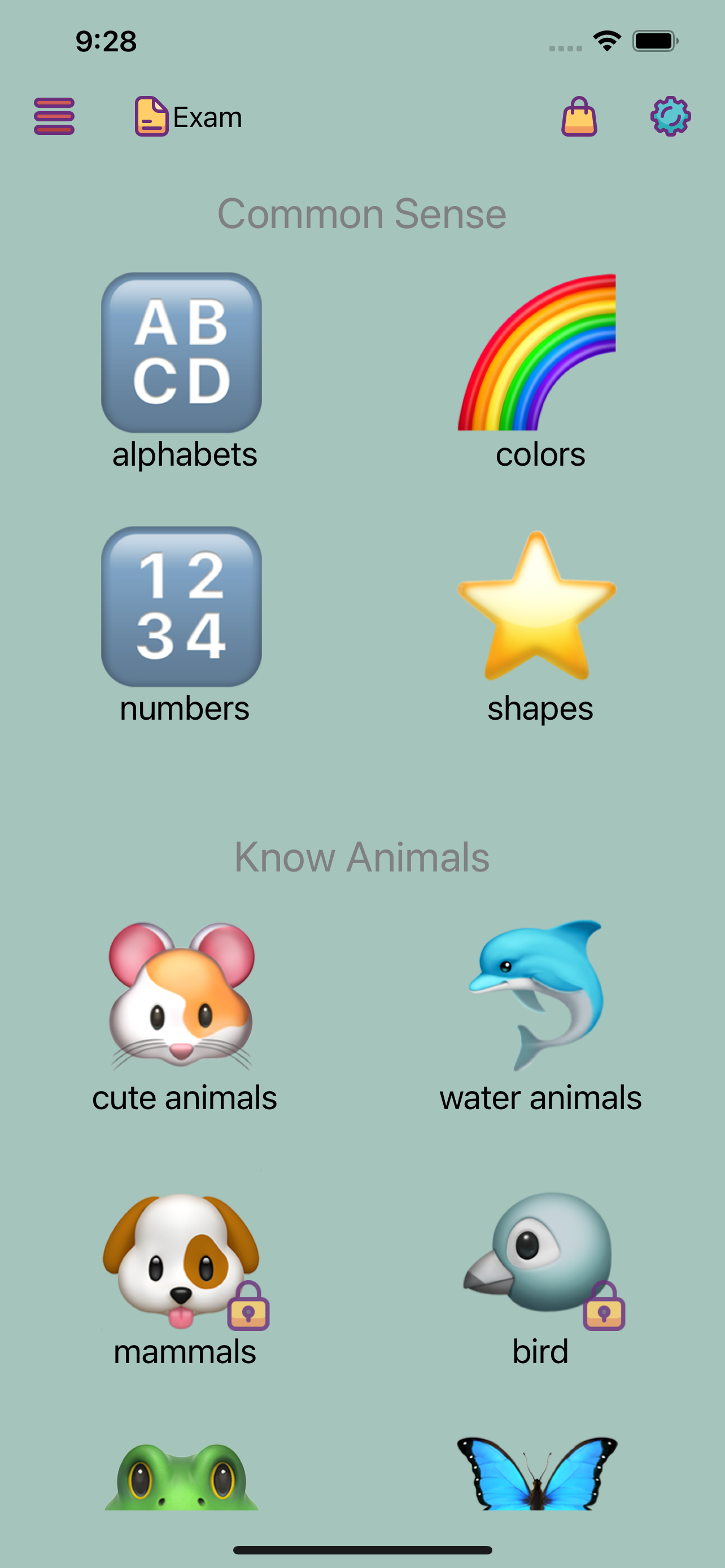 Children's Cognitive Learning