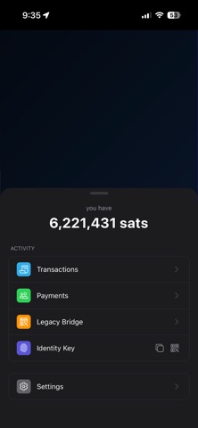 BSV Browser Screenshot 2 of 10